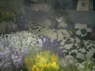 PosaFlora-Positano-Fiori-Matrionio-118