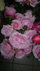 PosaFlora-Positano-Fiori-Matrionio-165