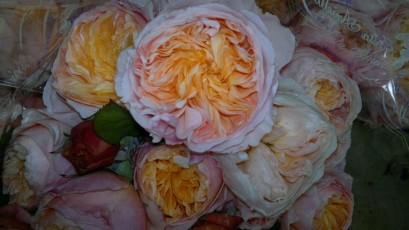 PosaFlora-Positano-Fiori-Matrionio-196