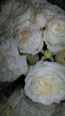 PosaFlora-Positano-Fiori-Matrionio-246