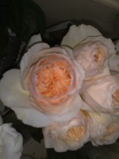 PosaFlora-Positano-Fiori-Matrionio-317